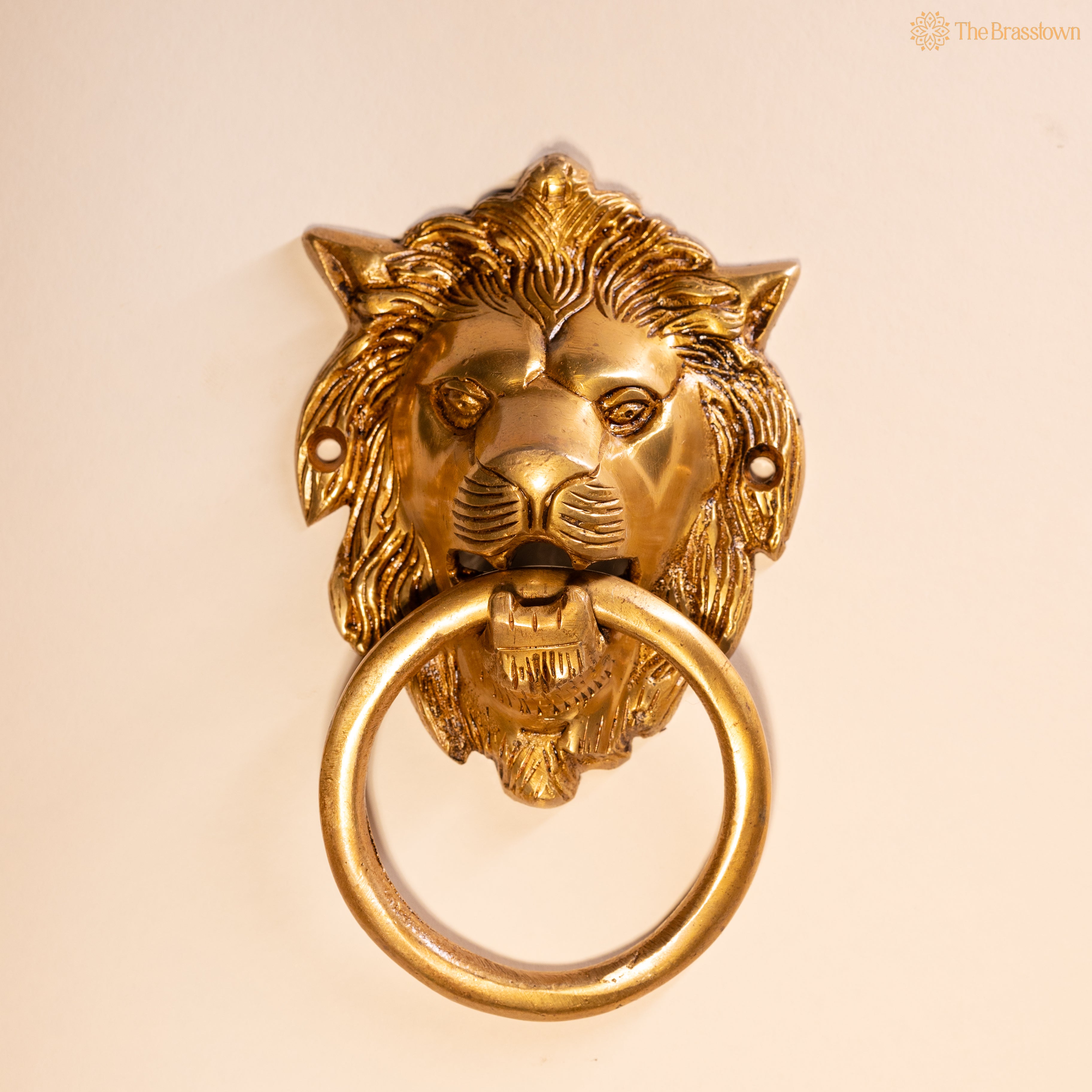 Brass Lion Door Knocker